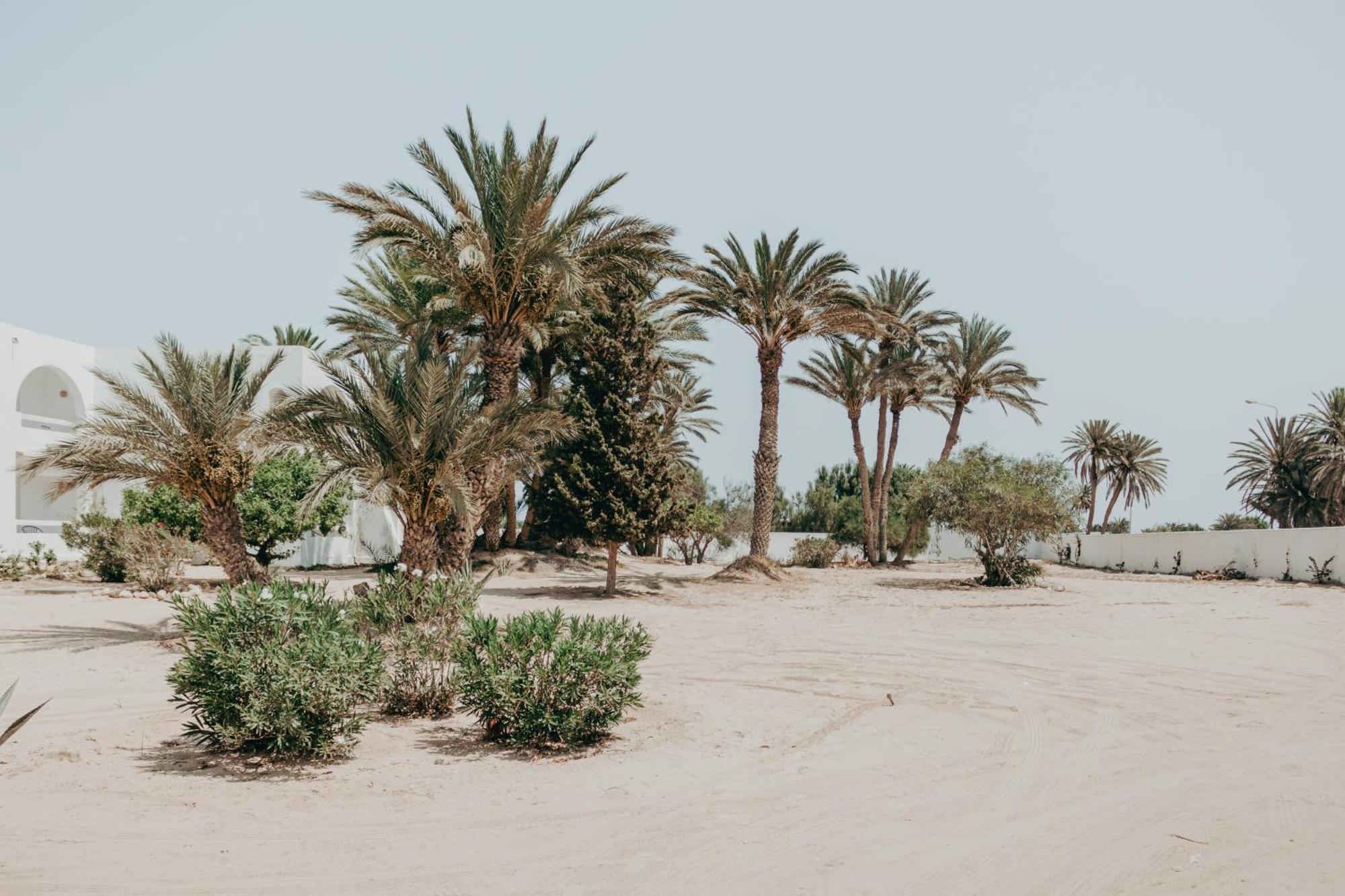 Hotel Bougainvillier Djerba Taguermess Exteriér fotografie